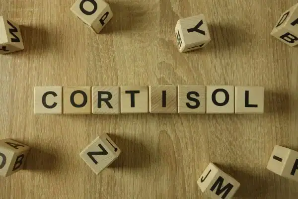 The Hidden Connection: How Stress Shapes Your Fitness and Body Composition 2 Image saying "Cortisol" and how stress Doncaster impacts your wellbeing and bodies shape